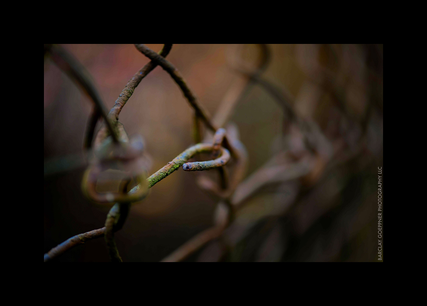 decay Chainlink bokeh wire dof