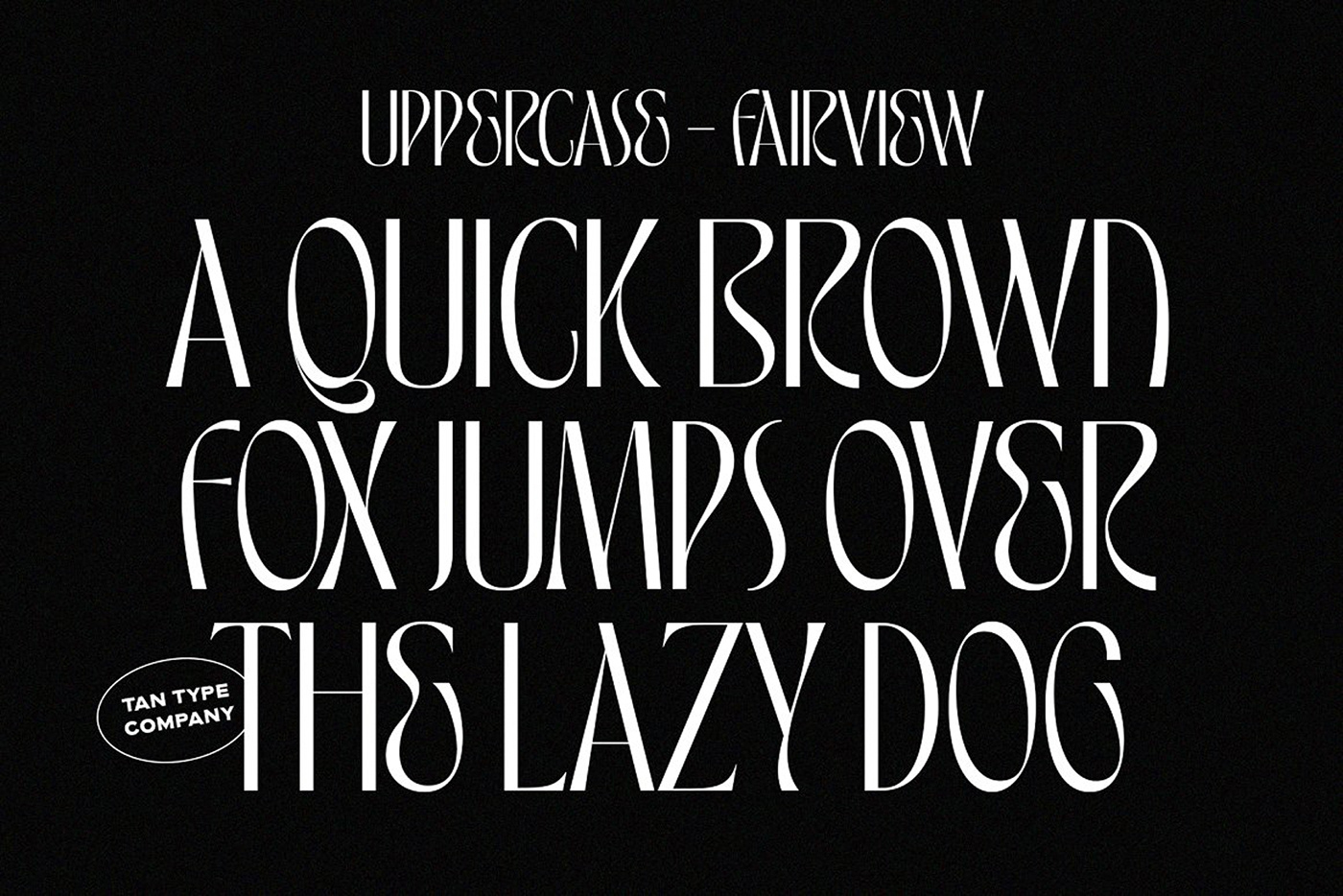 art deco font classy typeface display font elegant font Fashion font ligature font modern font sleek thin font Unique Font 