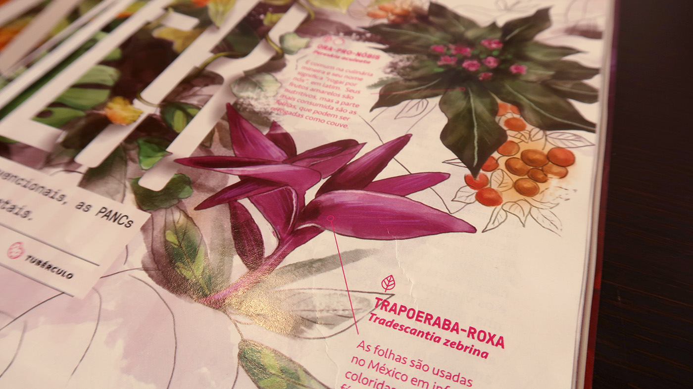 botanic watercolor aquarela botanica Ilustração Editorial editorial