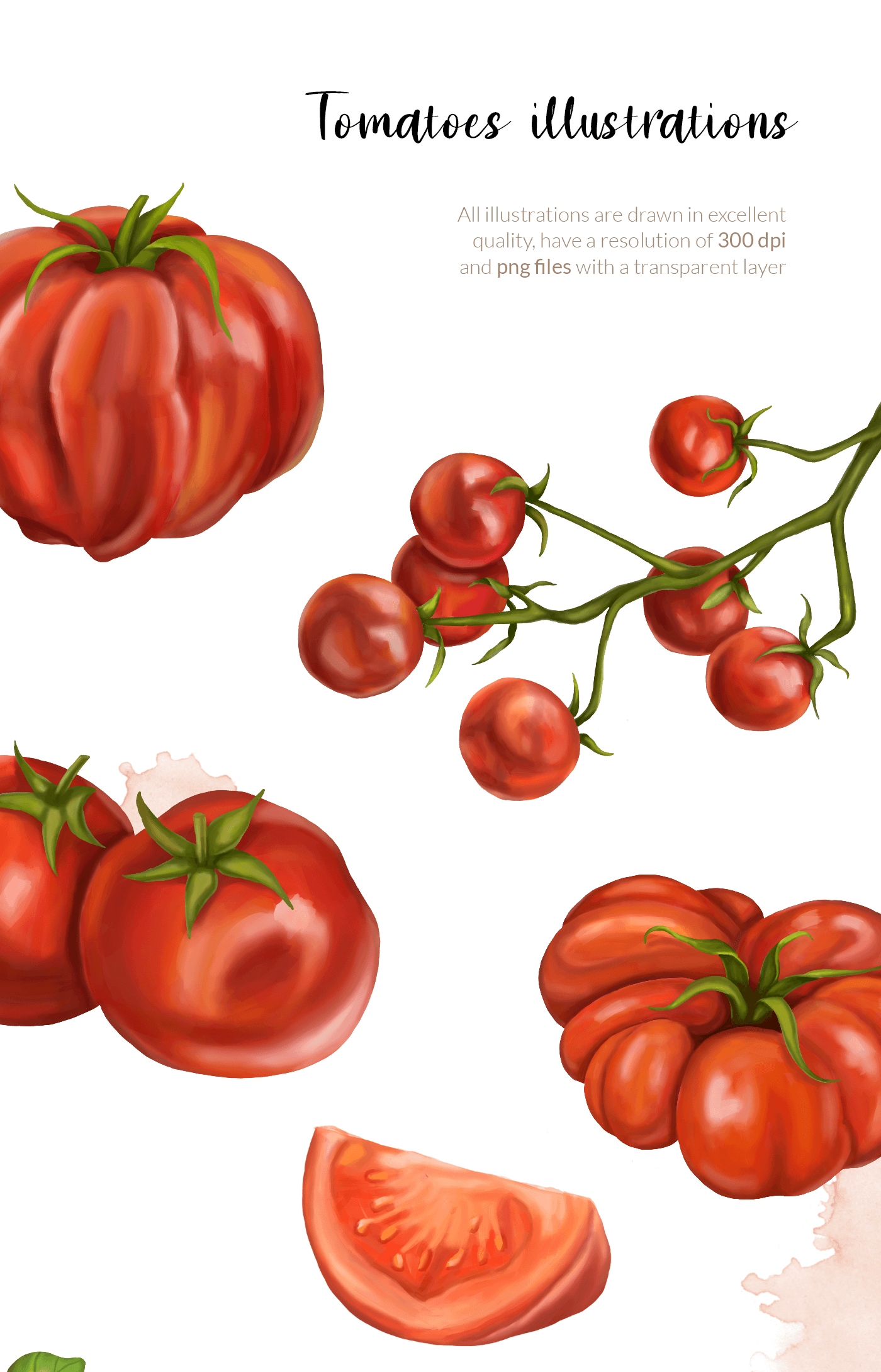 tomatoes clipart food art digital illustration vegitables seamless pattern artwork