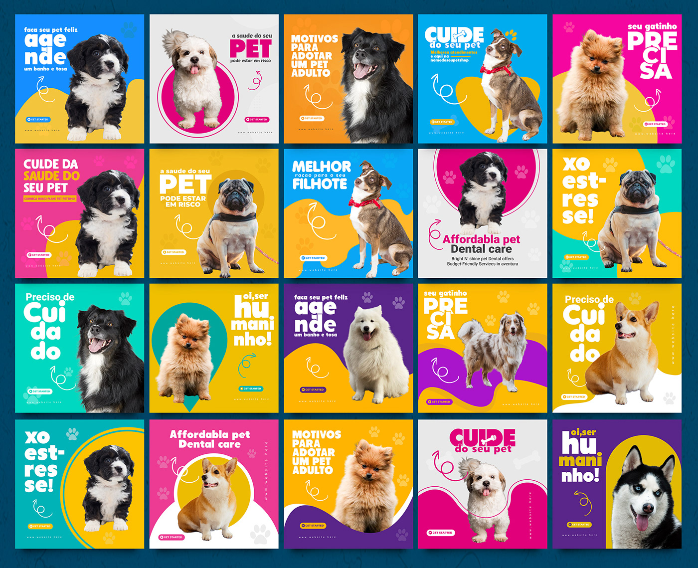 dog pet shop Pet Portrait Pet Adoption Pet Instagram Post Pet design PET animal