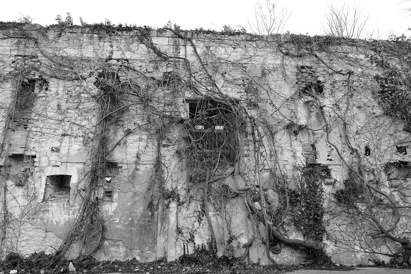 Bordeaux confinement gironde GUALDE YANN Leica mur Nature noir et blanc sud ouest wall