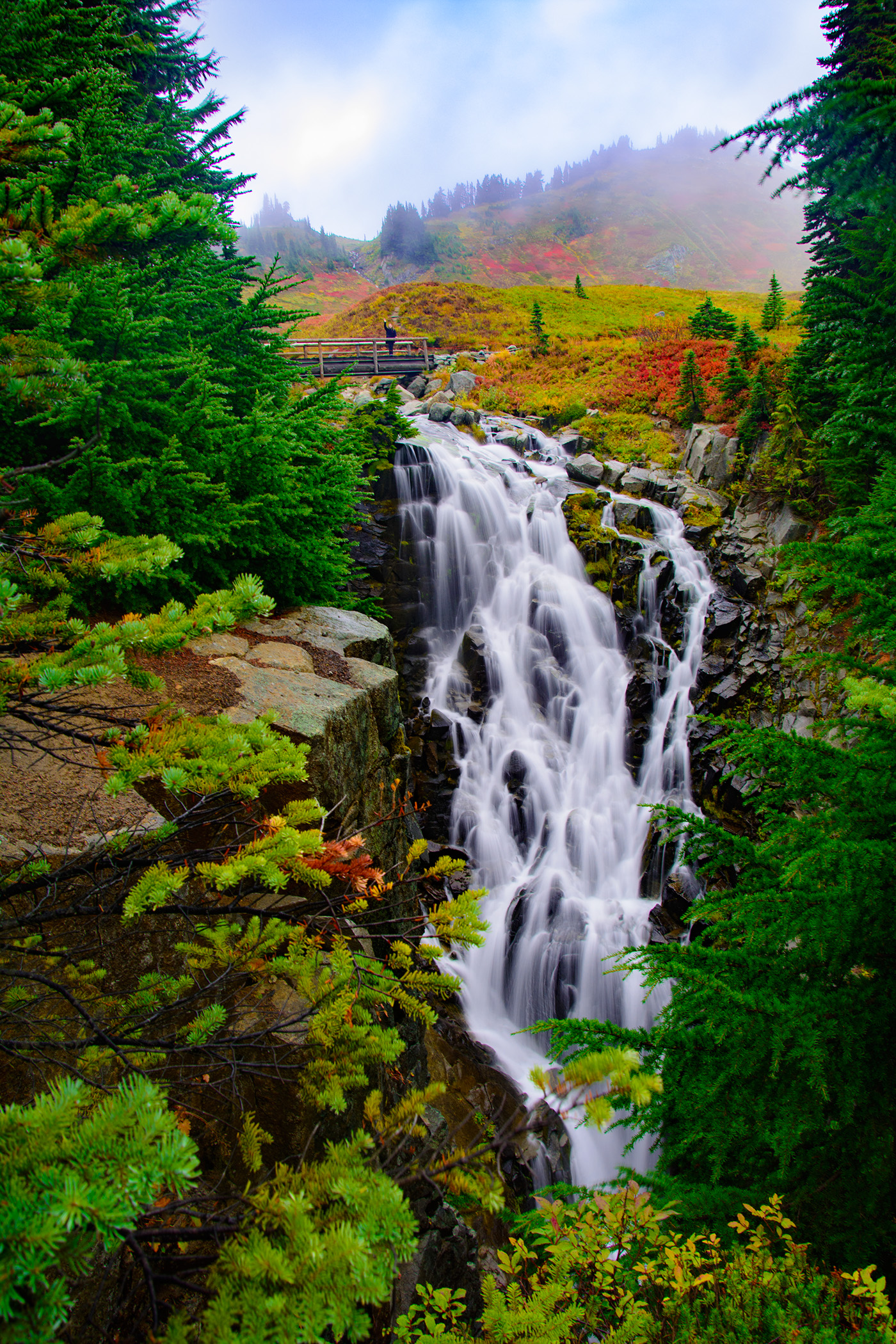 Mt Rainier National Park Fall autumn seattle Washington State