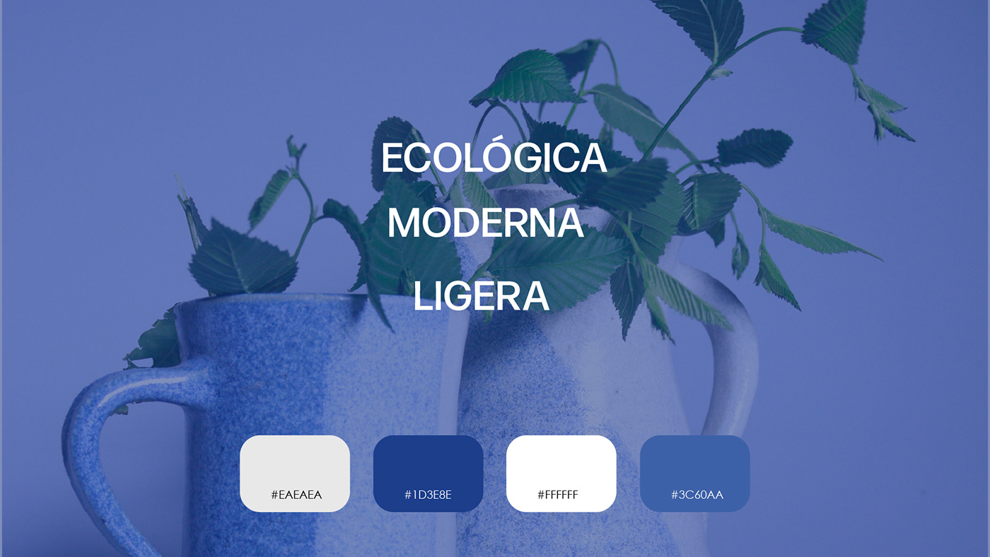 design marca dirección creativa visual identity branding  Logotype Illustrator Identity Design ceramica ecological