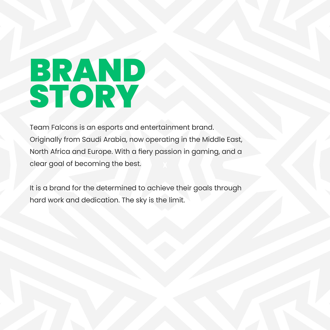 brand guidelines brand identity branding  esports Logo Design visual identity