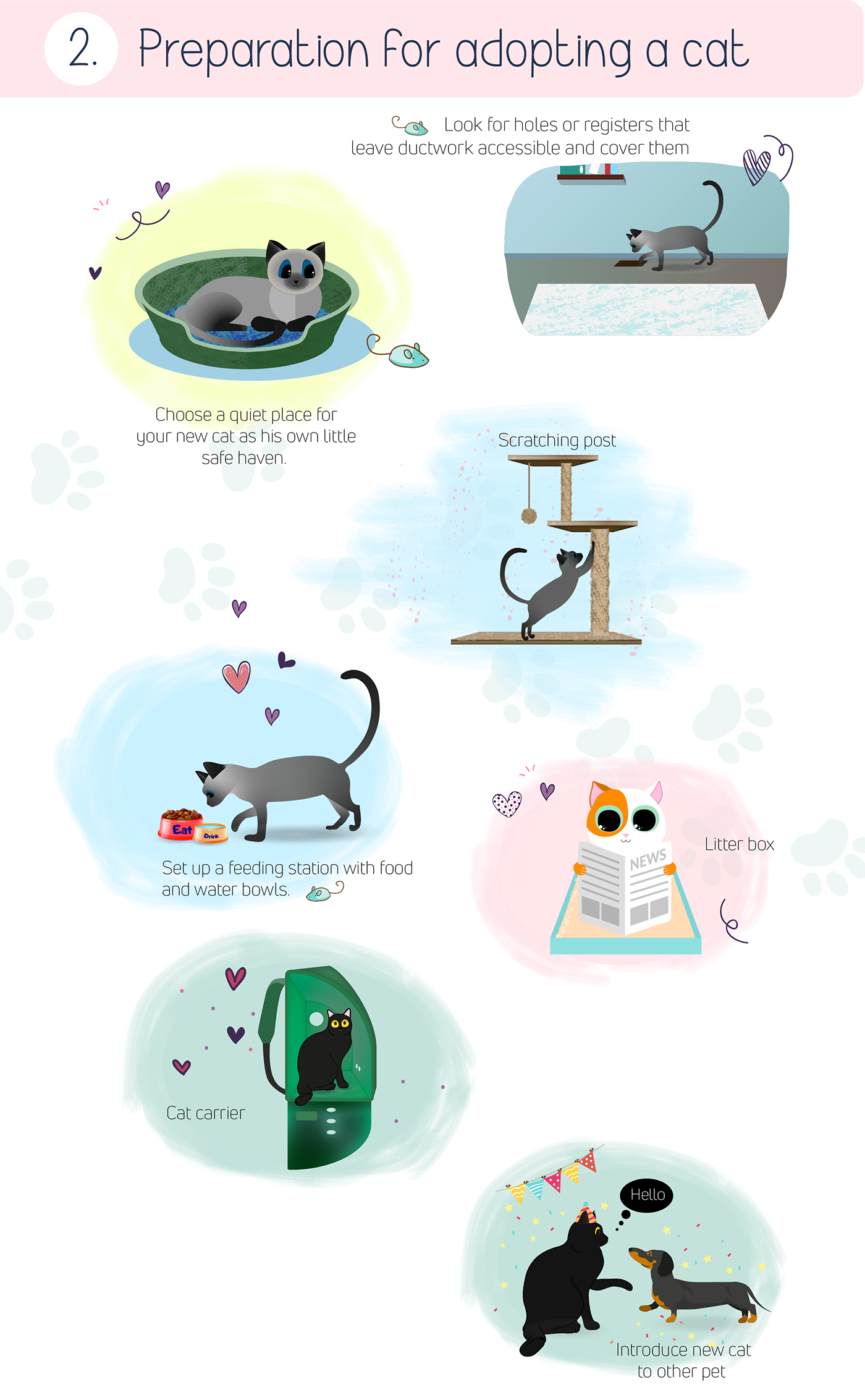 graphic design  infographic illustartion Cat care paw foot design adobe illustrator digital illustartion