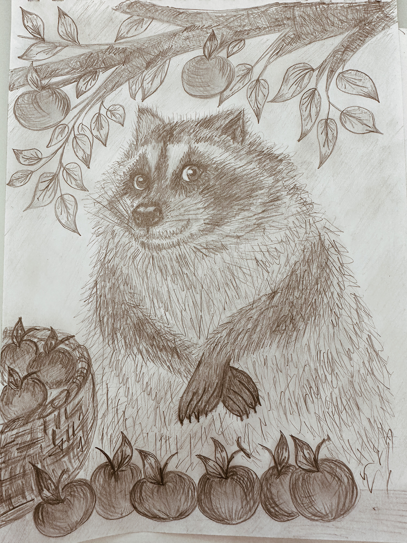 Hand Painting illustrations digital painting pencil sketch color painting hand drawing raccoon