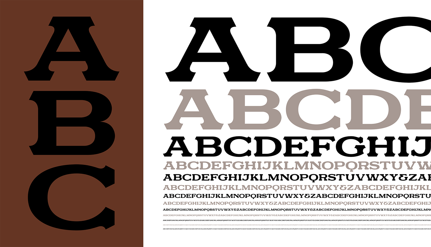 type font Typeface detroit Urban serif bold Heavy lettering Headline Display