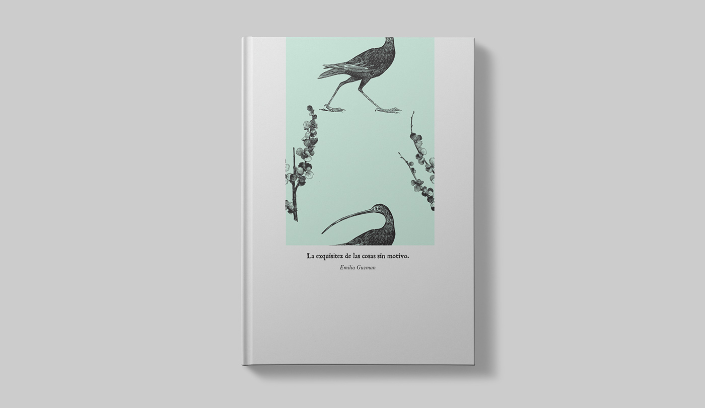 book cover Poetry  Nature birds