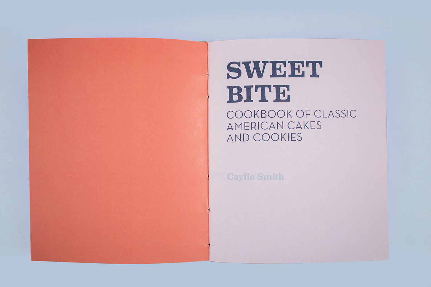 Book Binding cake cookbook cookies coptic binding food illustrations pen illustrations Typogragphy