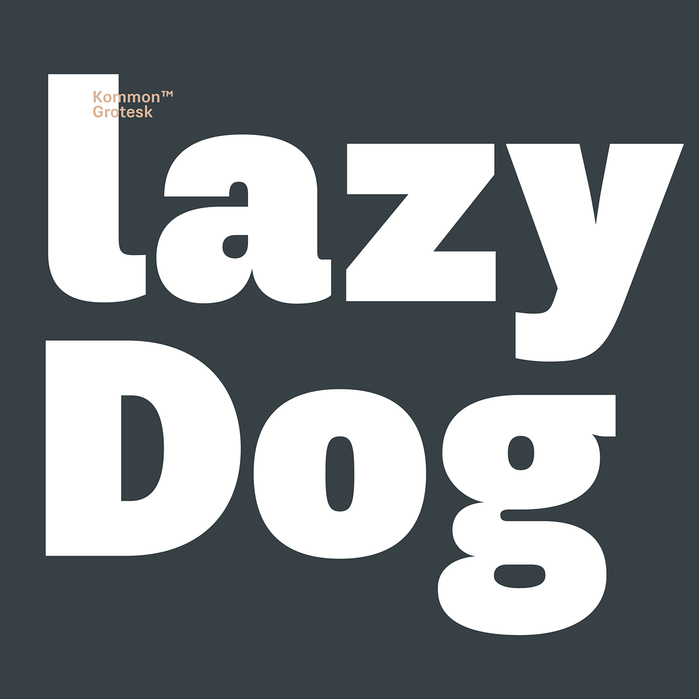typedesign font sans serif TypeKFoundry