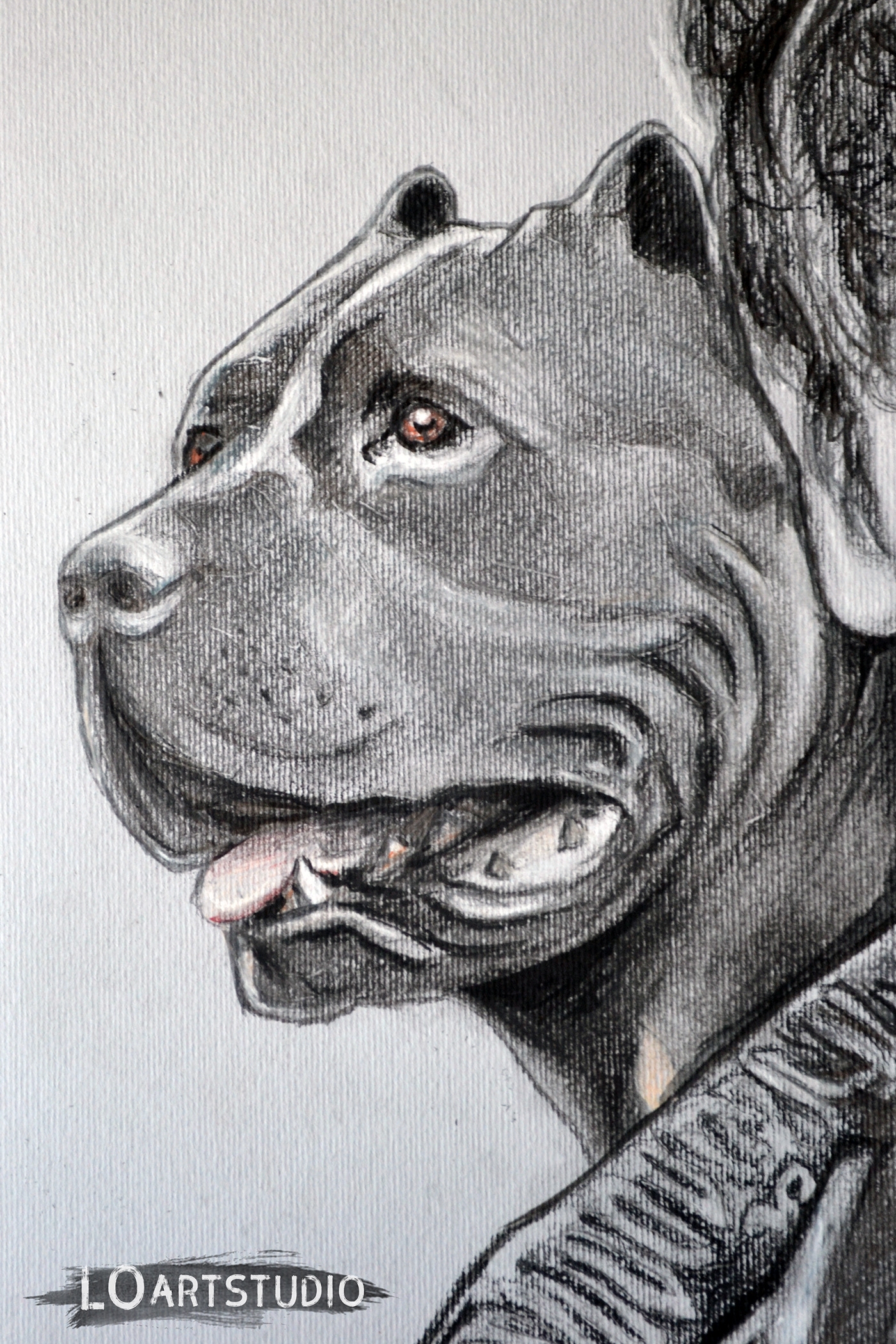 portrait ramsaybolton gameofthrones traditionalart graphicportrait graphic fanart movieart fanarts dog
