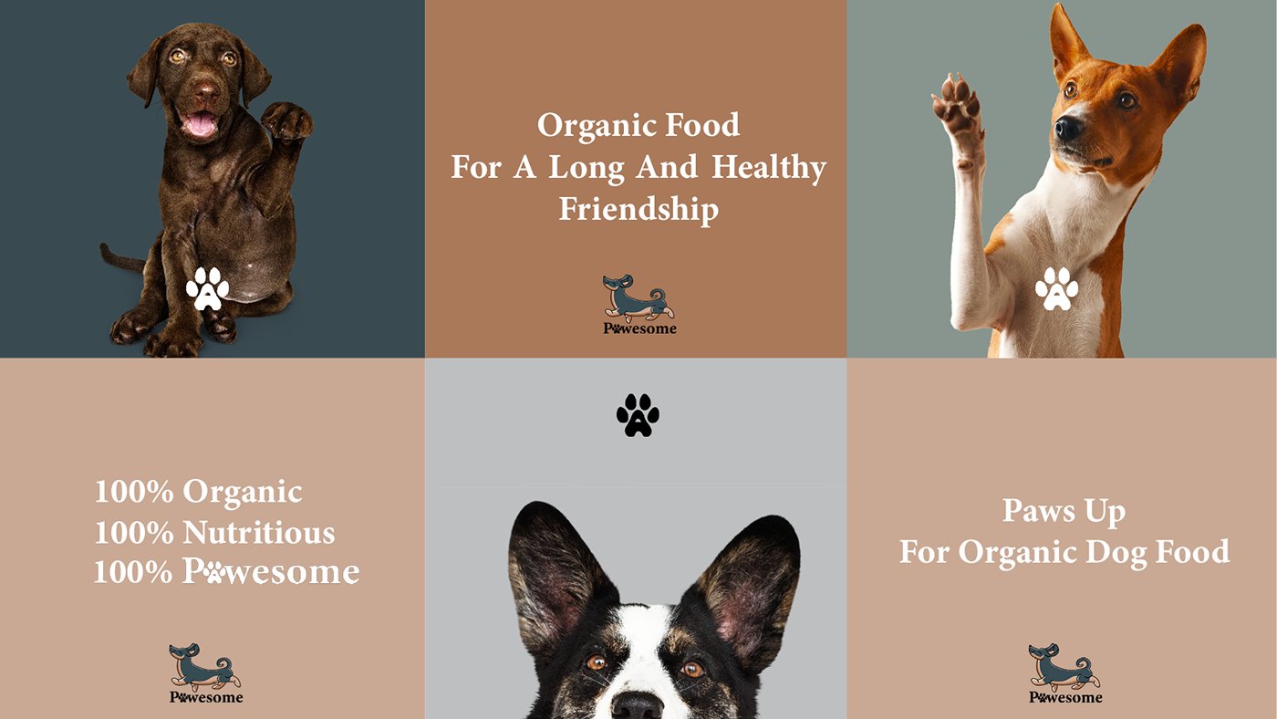 ads Advertising  Brand Design brand identity branding  dog dog food logo Logo Design Packaging