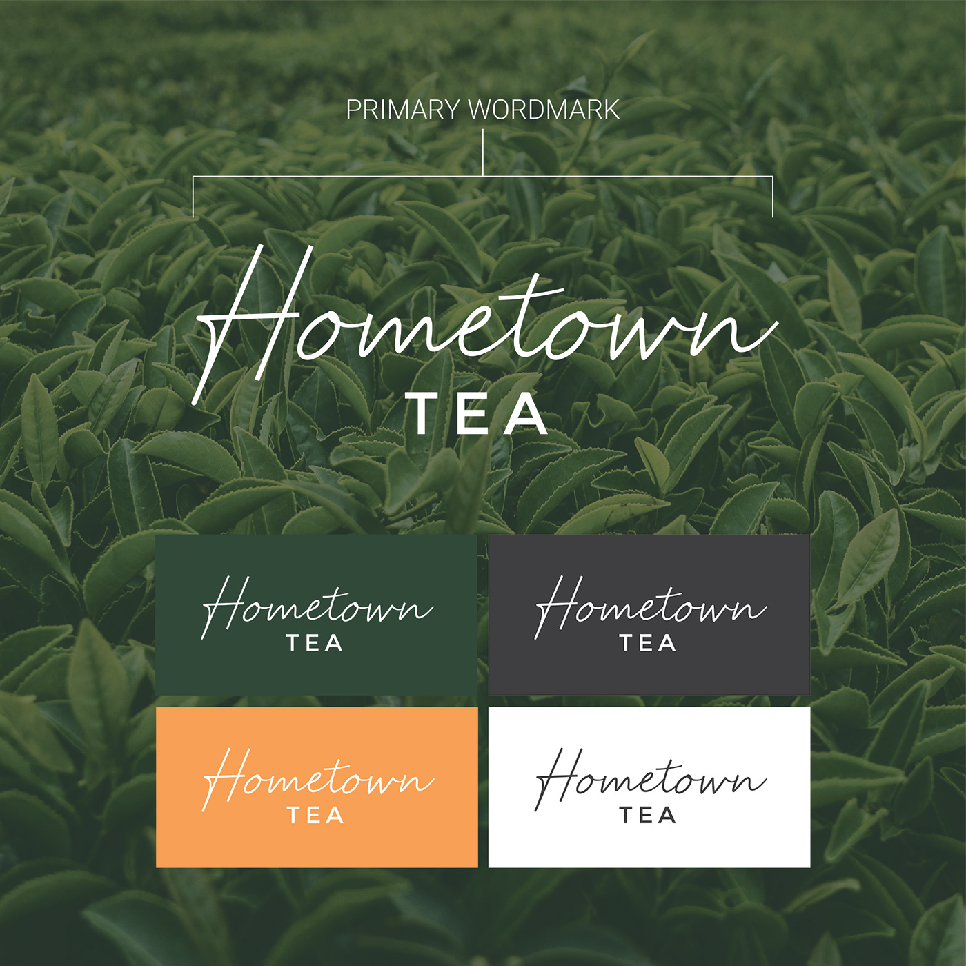 branding  graphic design  logo tea tea branding