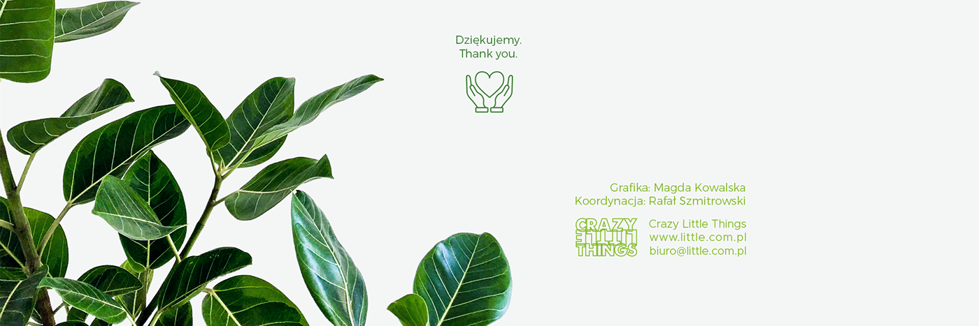 icons plantaMED.pl Visual Communication Ecommerce Eko Nature graphic design  identity features organic
