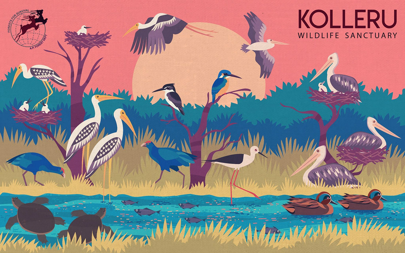 wildlife India forest sanctuary vector vectorart animal bird art fauna