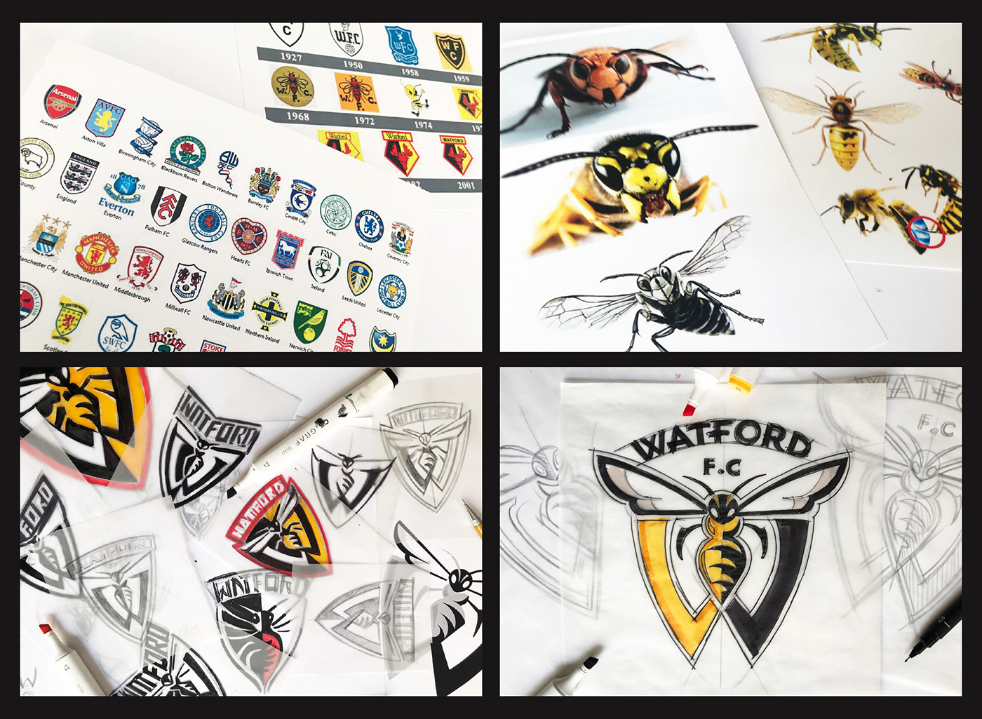 watford branding  venturini sportdesign WatfordFC badge crest watfordbadge watfordcrest sportslogo