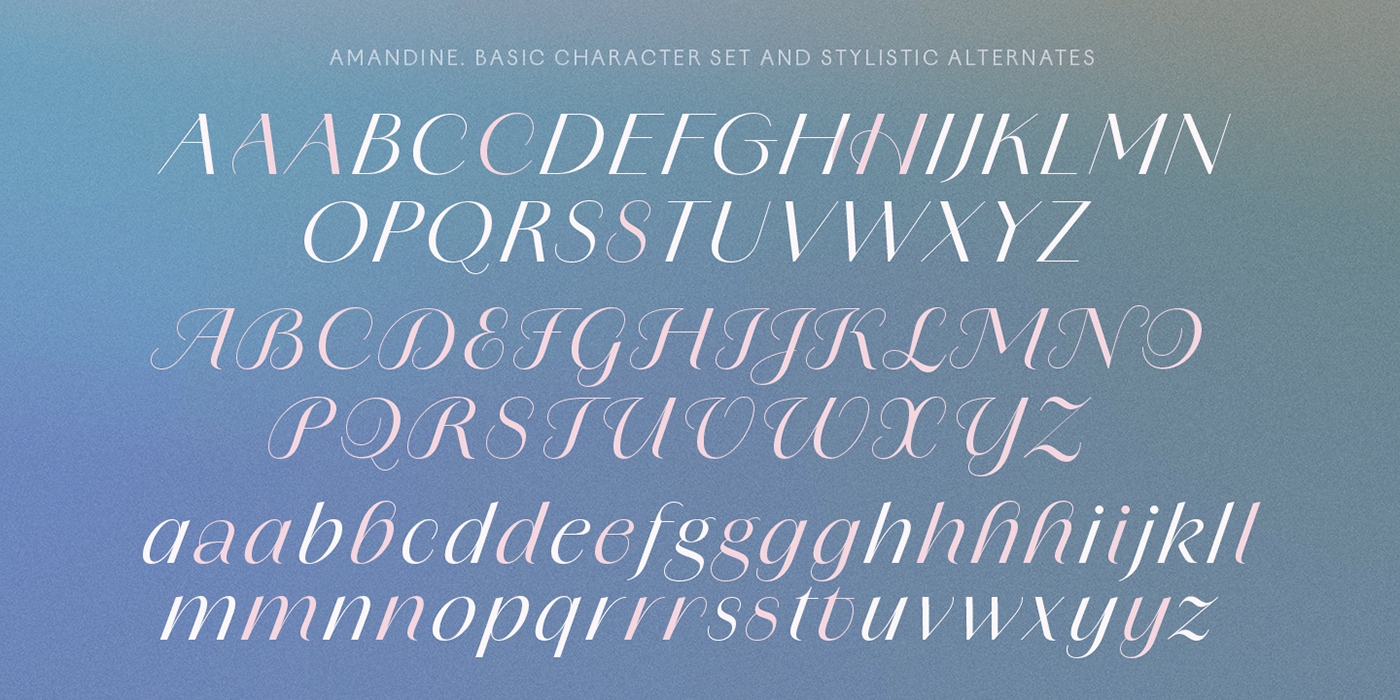 display font elegant font font design sans serif type type design Typeface typography   typography design