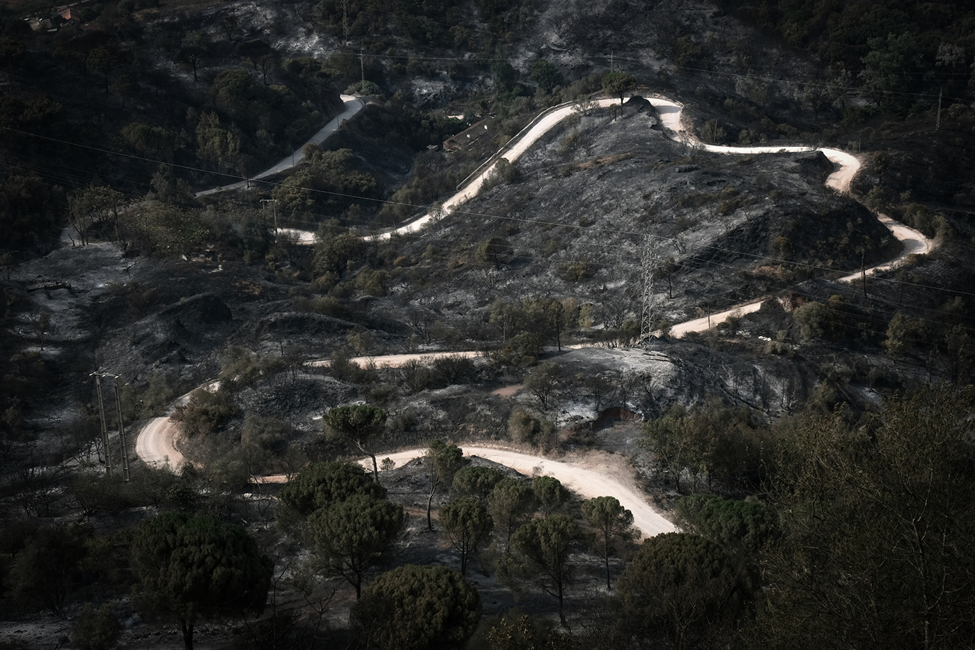 #fotografia #photography editorial palmela Photojornalism Portugal press wildfire