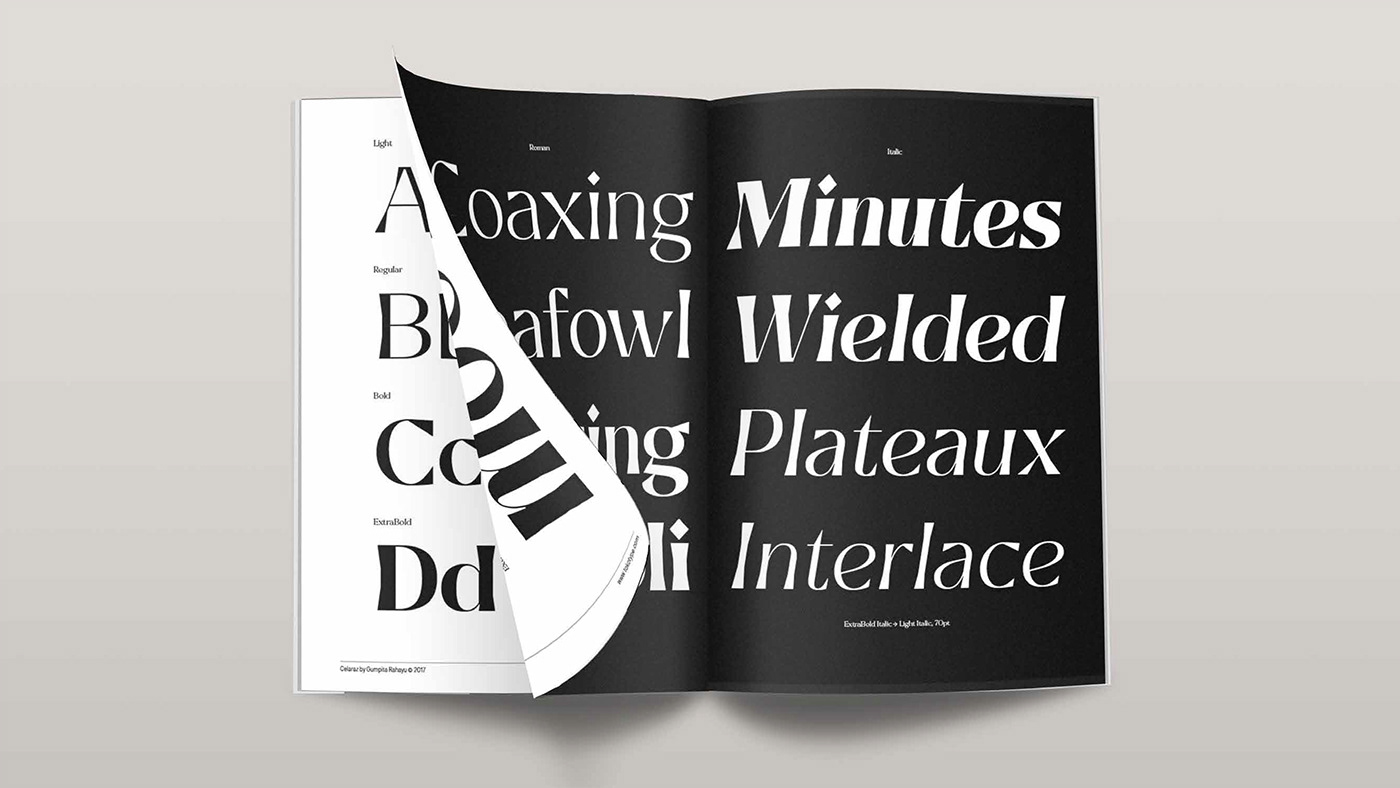 portfolio ILLUSTRATION  editorial typography   Poster Design visual identity Graphic Designer