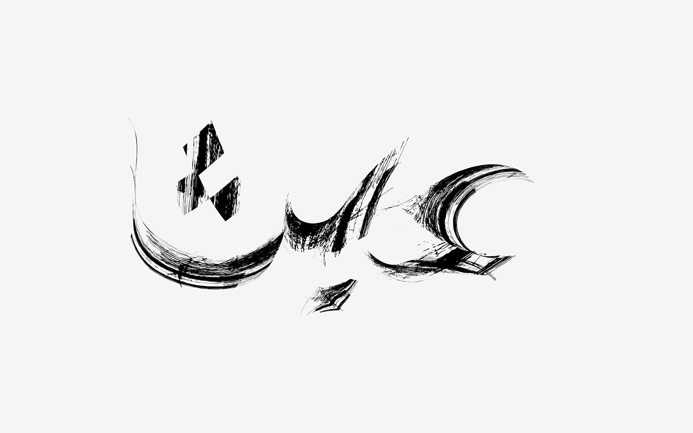 arabic arabic typography Calligraphy   challenge hibrayer lettering type typo typographic typography  