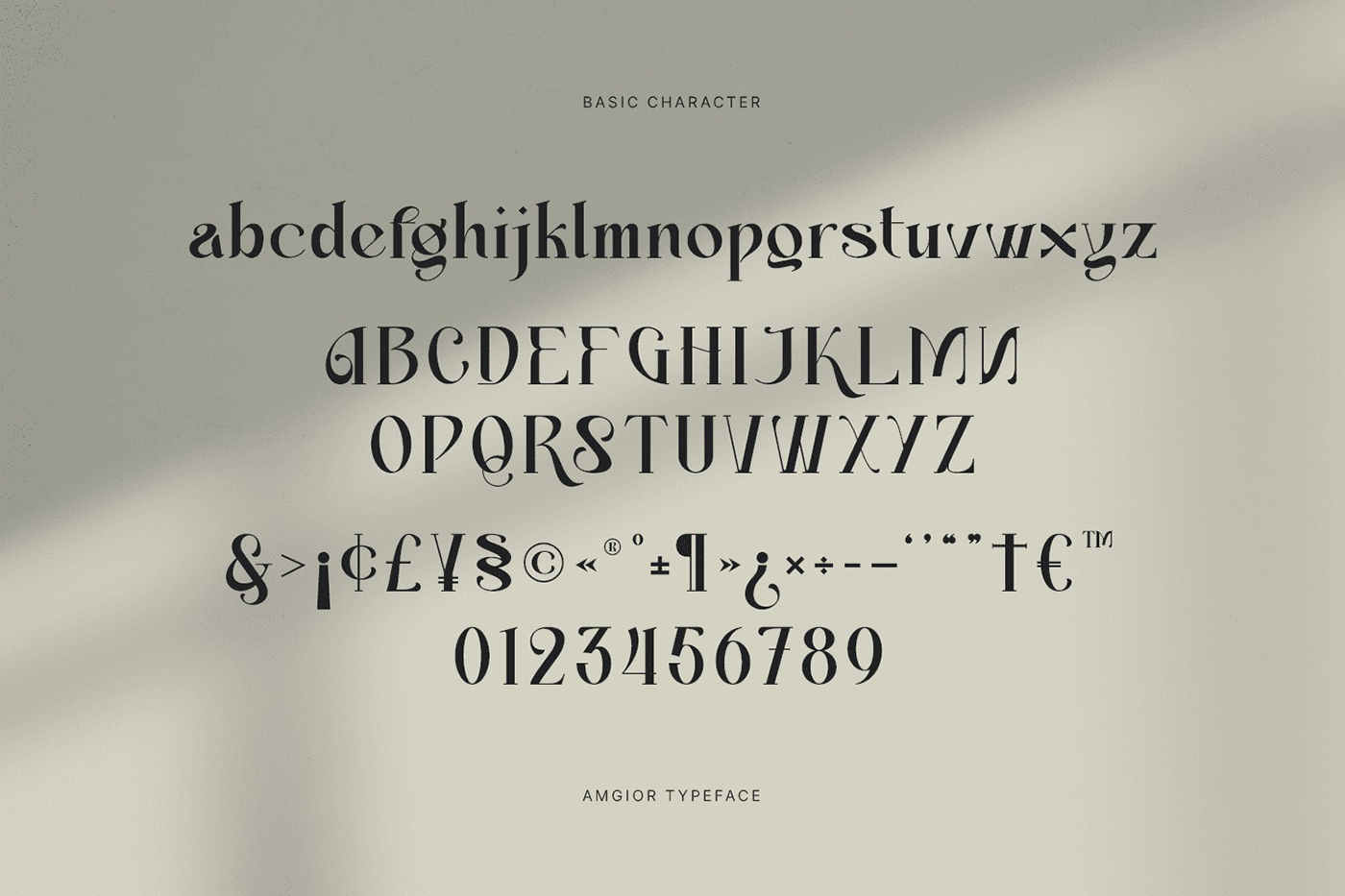 font Typeface display font serif modern