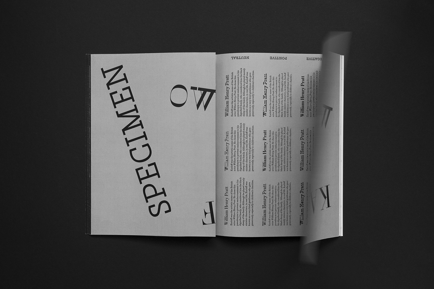 karloff type specimen font typography  