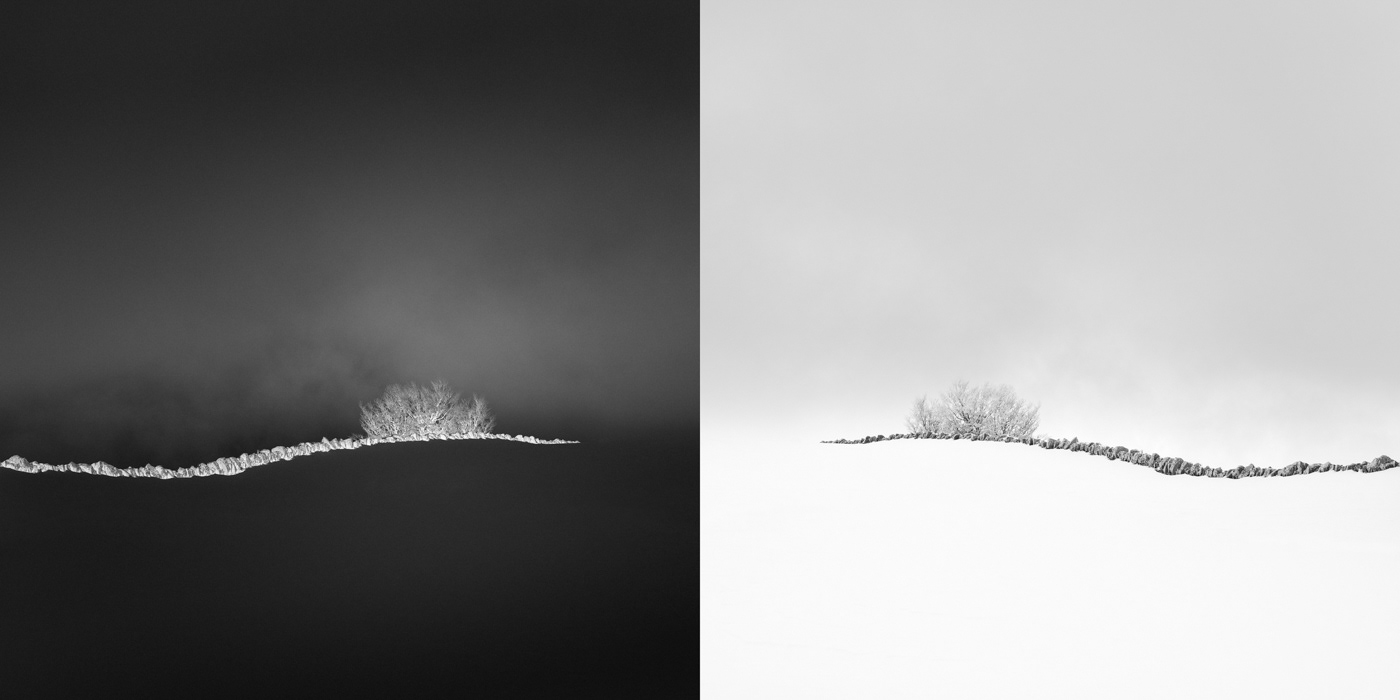 blackandwhite dyptich group Landscape Moody snow Switzerland together trees winter