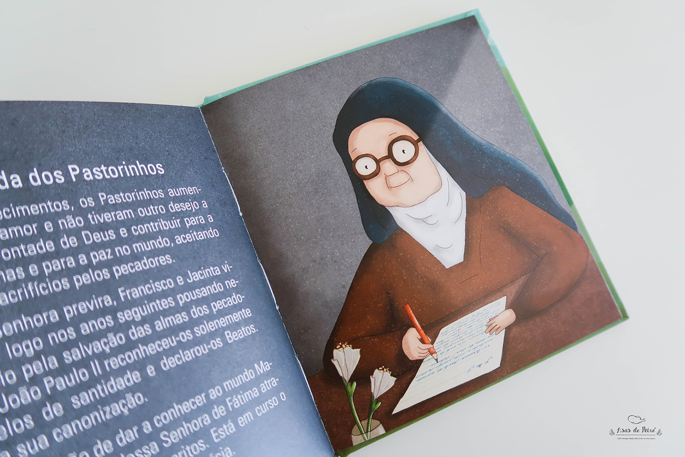 fatima Portugal apparitions Aparições nossa senhora religião religious children's book kids ILLUSTRATION 