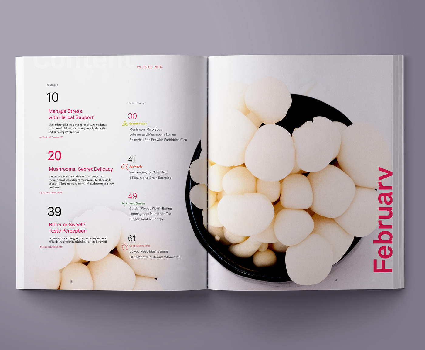 Photography  editorial design  grid