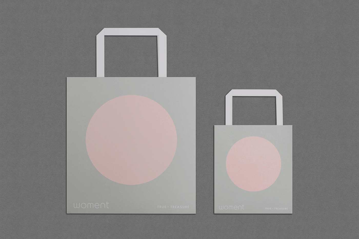 packaging design Packaging Hong Kong innoise box Assessors branding  logo colors circle