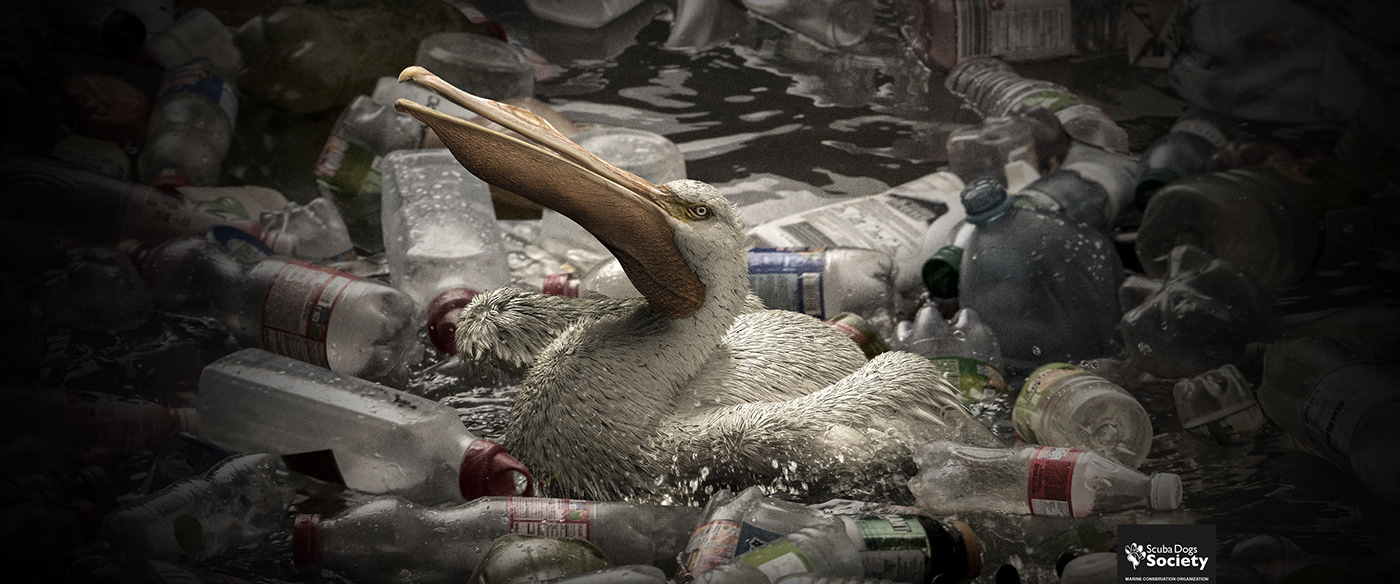 3D animals digitalphotography garbage Photography  pollution post retouching  SCUBADOGS trash