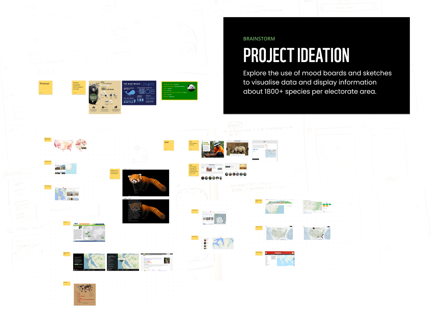Figma Responsive Design ui design UI/UX ux Web Web Design  Website WWF Campaign