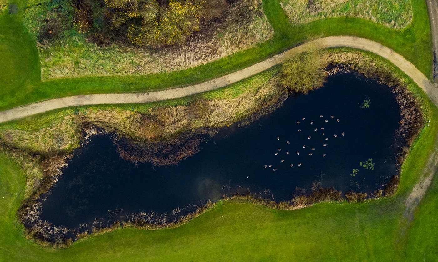 video Aerial Landscape winter sport golf