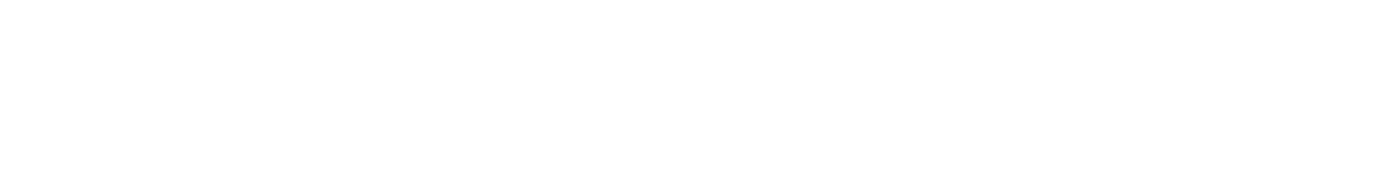 branding  identity Web Webdesign logo ILLUSTRATION 
