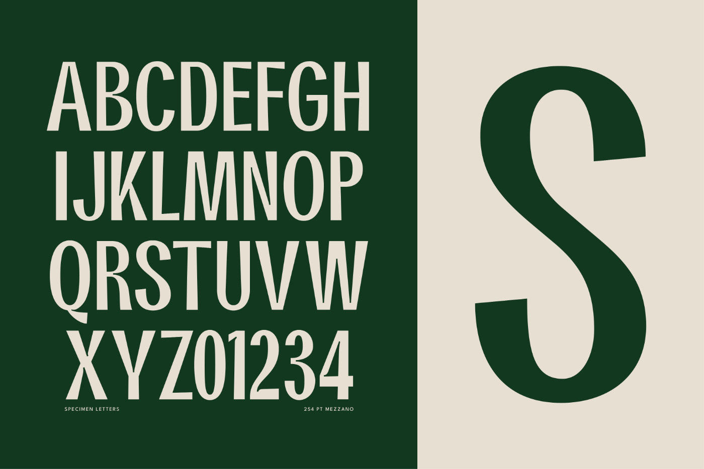 branding  Display free Free font free fonts logo Retro Title Typeface vintage