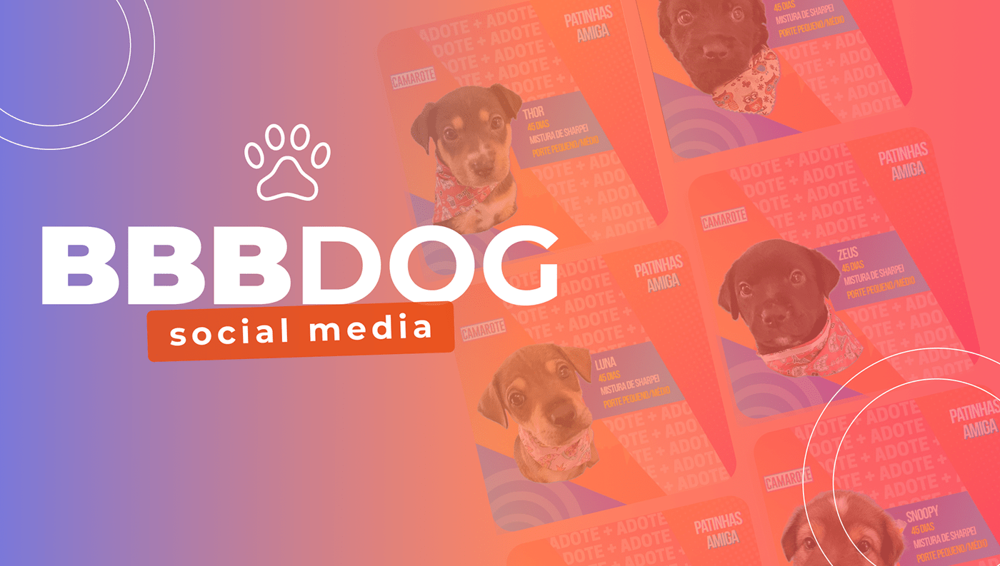adoção animais big brother brasil cachorro design gráfico dog ong Pet social media identidade visual