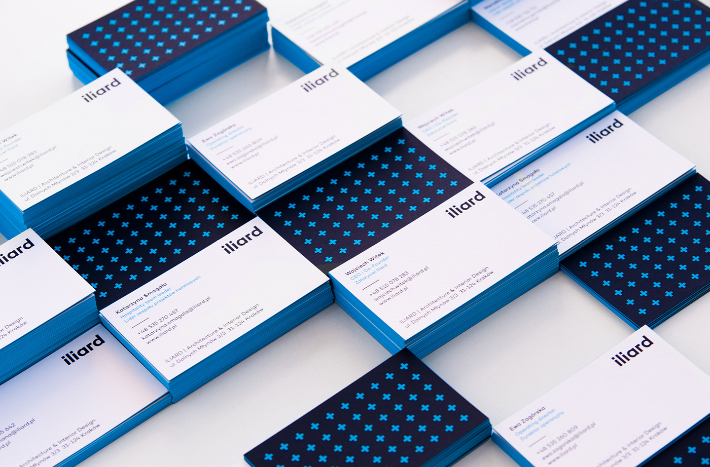 identification brand branding  brochure print ArtDirection design businesscard blue Website