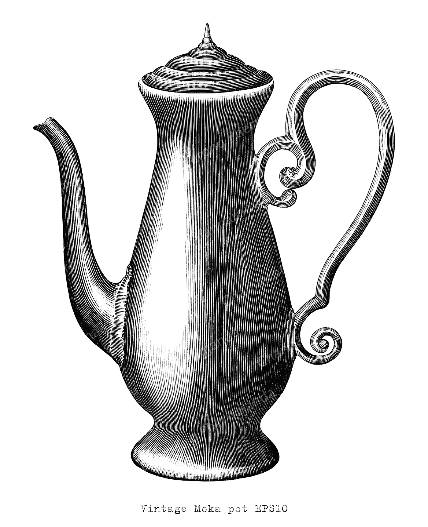 ILLUSTRATION  vintage draw Coffee maker pot drink sketch