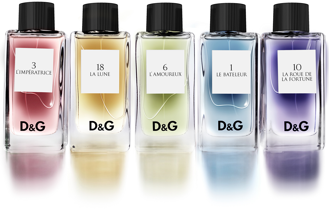 d&g fragrance anthology