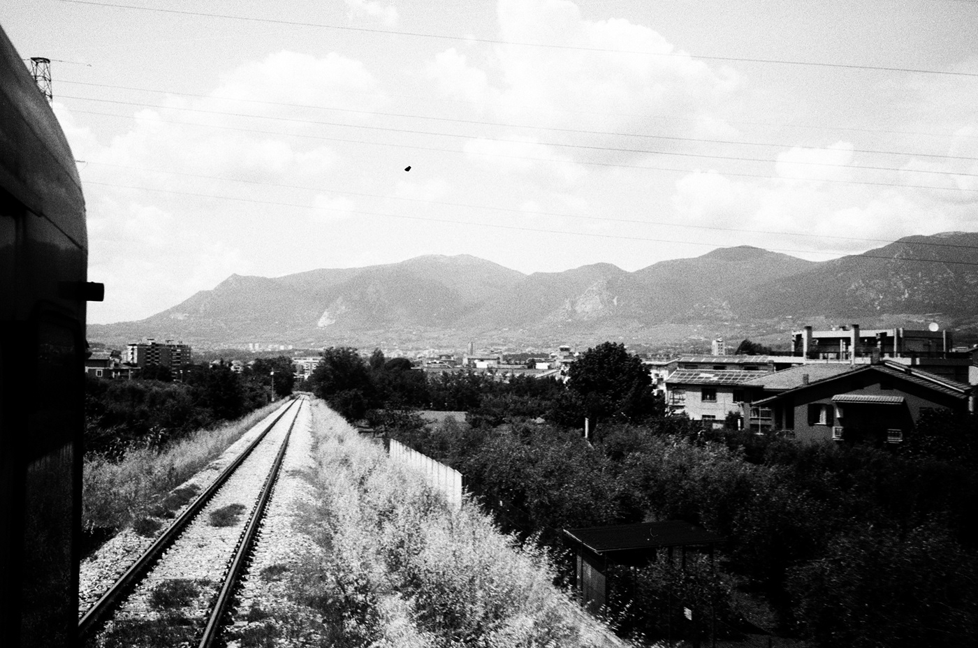 Photography  film photography Film   35mm analog black and white street photography Travel Landscape Nature