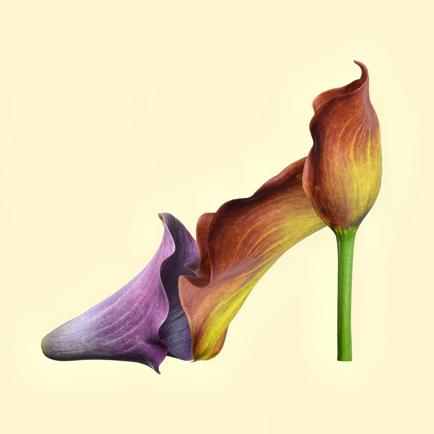 calla-lily Flowers shoe high heel 