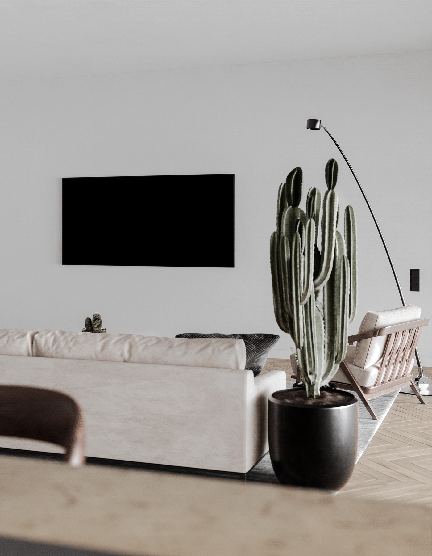 3D 3ds max cactus corona disign interior design  midsentury modern Render visualization