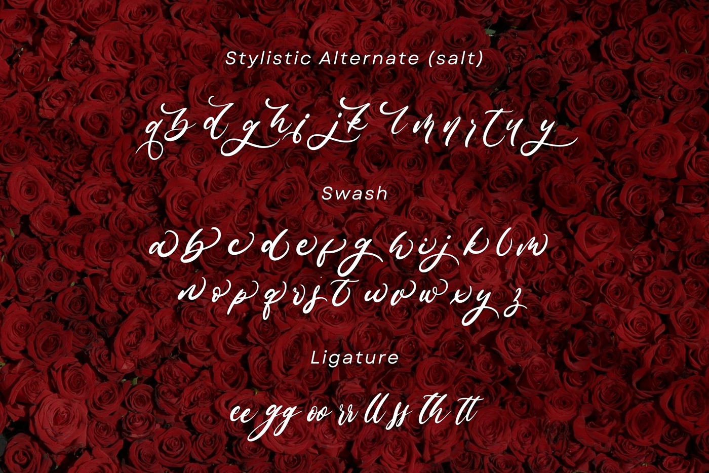 Valentine's Day valentines romantic wedding Invitation Birthday handwritten Calligraphy   Handlettering Script