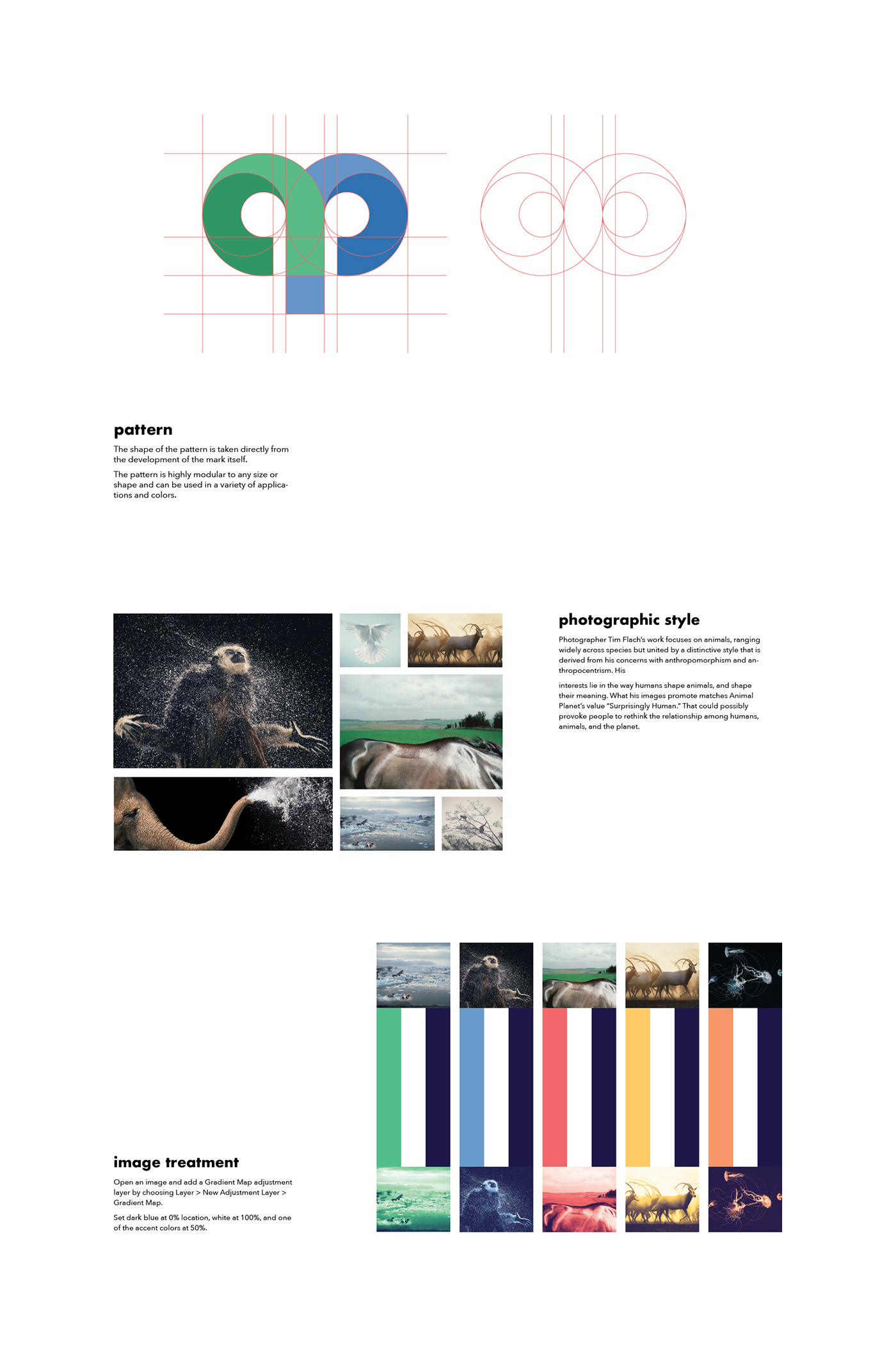 Adobe Portfolio branding  art direction  animal identify planet animation  logo Channel tv