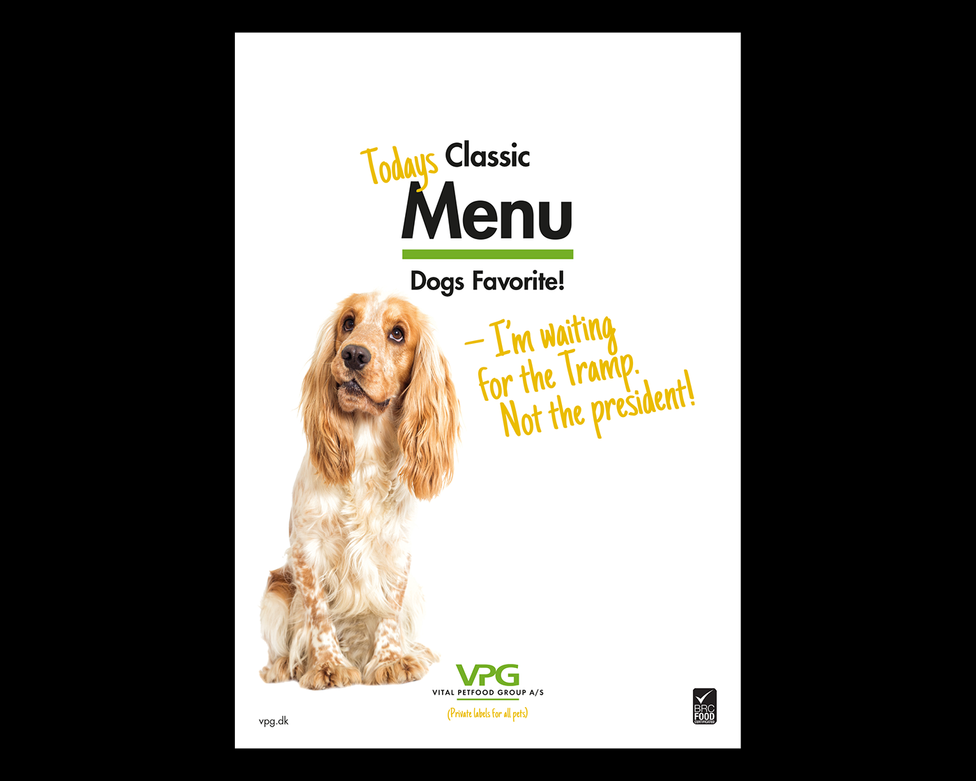 vpg petfood Pet Food  Cat dog print brochure folder menu