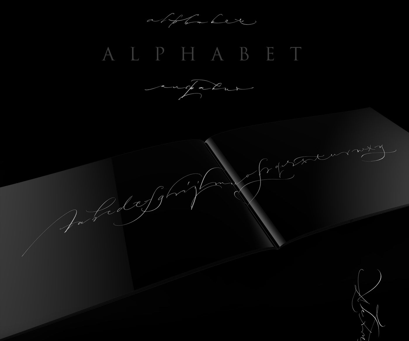 alphabet Calligraphy   lettering art letters каллиграфия леттеринг типографика drakunoff pointed nib