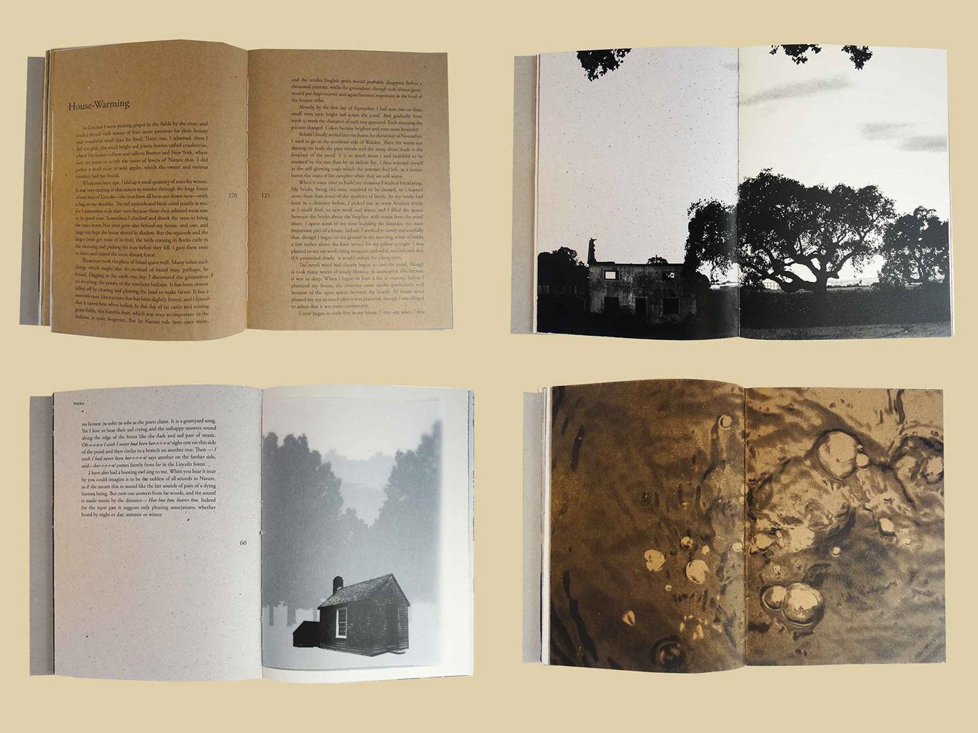 walden thoreau editorial design comunication design de comunicação Portugal Livro floresta Fotografia