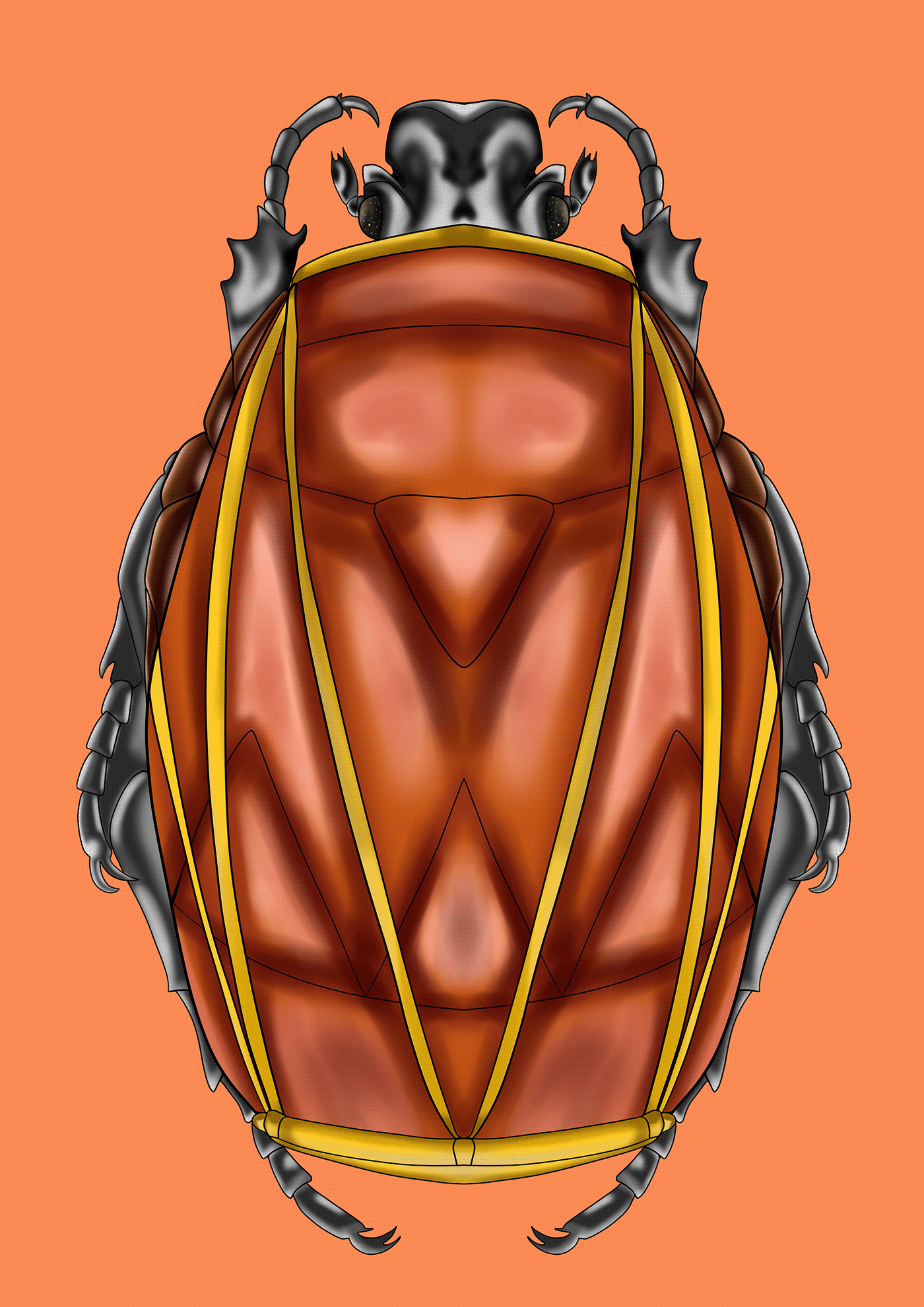 artwork beetle black and white bug Digital Art  digital illustration Drawing  insect manipulation sketch