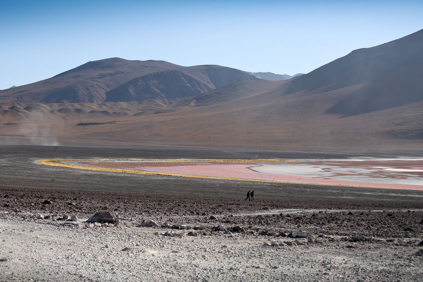 bolivia South America Salar de Uyuni Altiplano Laguna colorada Travel Photographie desert colours animals